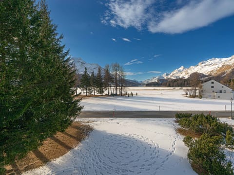 Chesa Tscheppa 2 Apartment in Samedan