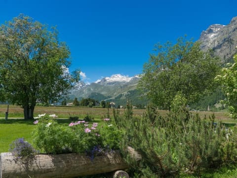 Chesa Flur Sulagl 2 Apartment in Samedan