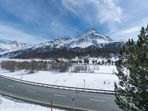 Chesa Cavril Vacation rental in Canton of Grisons