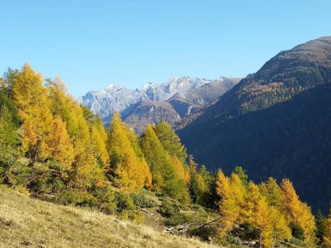 Wohnung mit atemberaubender Aussicht Apartment in Canton of Grisons