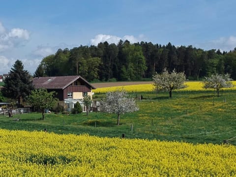 Haslers Hof Apartment in Schaffhausen, Switzerland