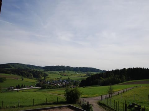 Summerhalde Apartment in Canton of Zurich