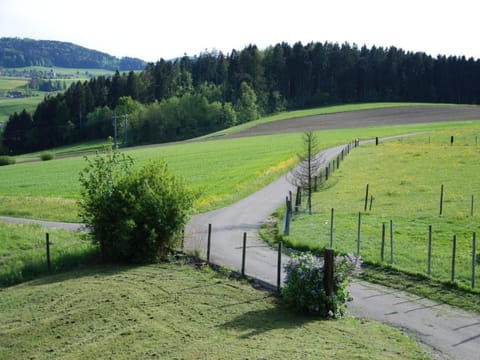 Summerhalde Apartment in Canton of Zurich