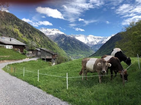 Berghof-Gufel Apartment in St. Gallen, Switzerland