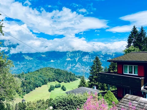 View
