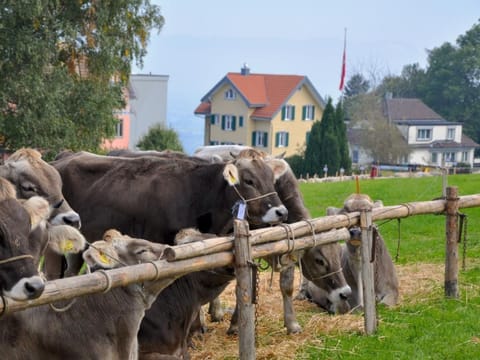 Rätia Apartment in Vorarlberg, Austria