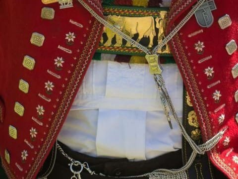 Obere Laui Vacation rental in St. Gallen, Switzerland