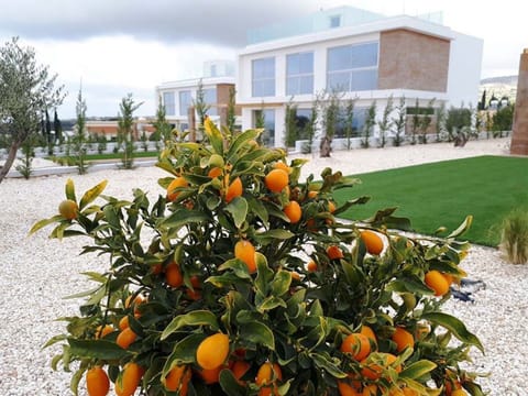 Coral Elite Residence mit Pool und Whirlpool Vacation rental in Peyia