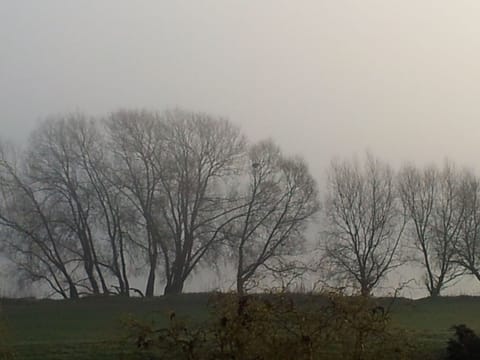 Elbufer 4C Vacation rental in Schleswig-Holstein