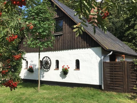 Knorburg Vacation rental in Nordfriesland