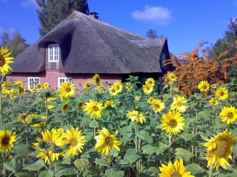 Finkenbusch Vacation rental in Ostholstein