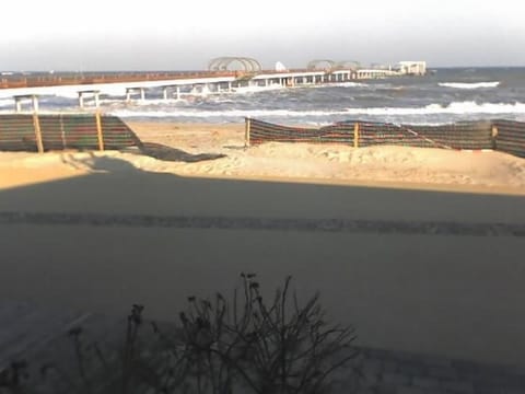 "Rosa Canina",W6 Apartment in Dahme