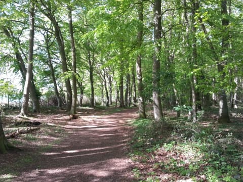 Retro Bungalow Nr 5 Vacation rental in Dahme