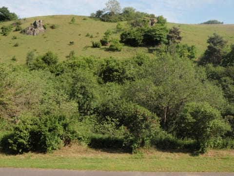 Resi Lux in Niederehe Apartment in Ahrweiler