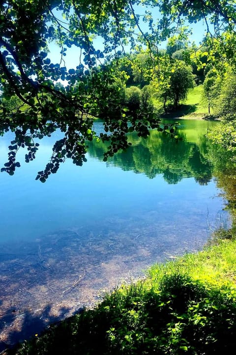 Landhaus Erika Vacation rental in Vulkaneifel