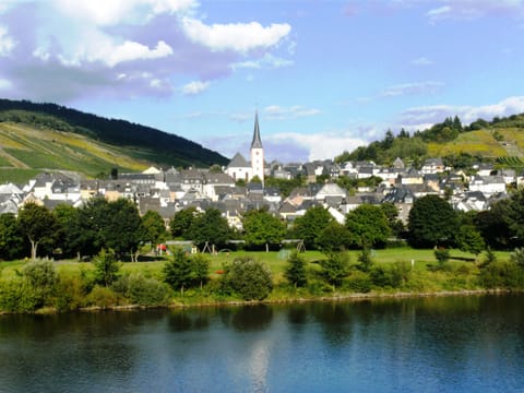 L Vacation rental in Cochem-Zell