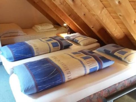 Bär Apartment in Forbach