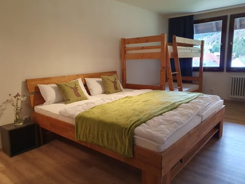 Gästehaus a Feldberg Vacation rental in Baden-Württemberg