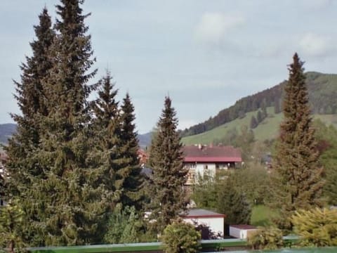 Fewo Schlossstr. Apartment in Oberstaufen