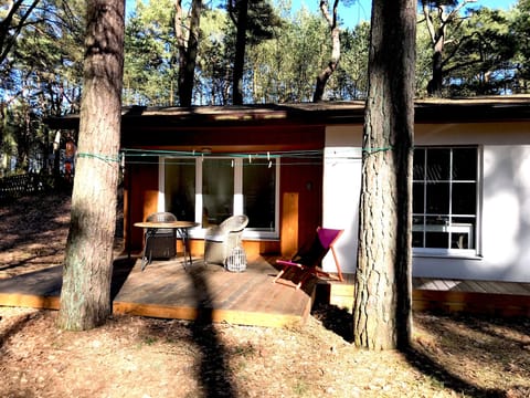 in Karlshagen mit Terrasse und Garten Vacation rental in Trassenheide