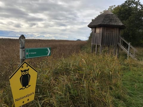 Traumhafte Ferienwohnung im Reetferienhaus Apartment in Mecklenburg-Vorpommern, Germany