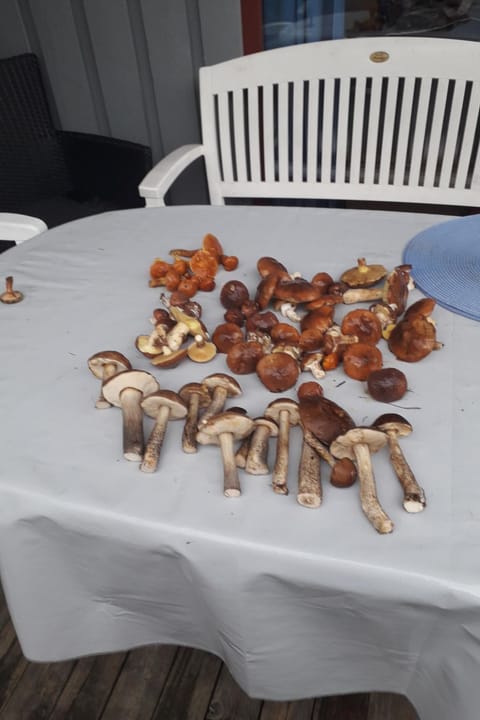 in Granzow mit Terrasse Vacation rental in Rechlin