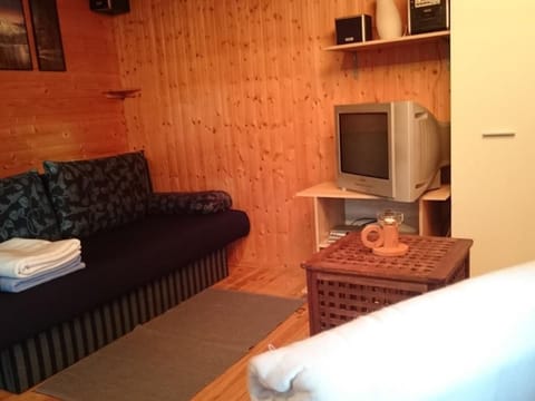 in Dümmer mit Grill und Terrasse Vacation rental in Schleswig-Holstein