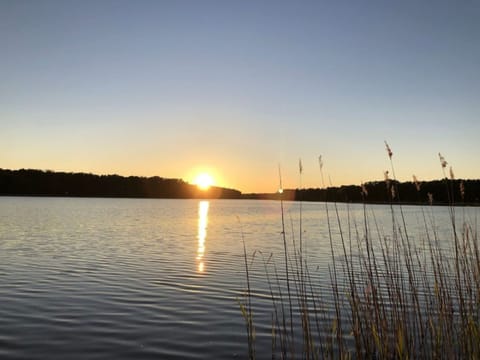 Reetdach Ferienhaus am Lübbesee Sauna Bootsteg neu Vacation rental in Templin