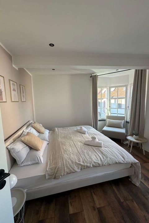 Charmante Fewo mit Dachterrasse, Wintergarten top Apartment in Mainz-Bingen