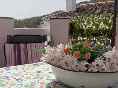 Casa la Solana Vacation rental in Costa del Sol