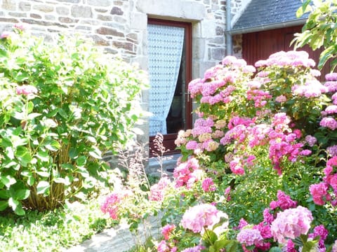 Eine kleine Oase der Ruhe am Meer Vacation rental in Clohars-Carnoët