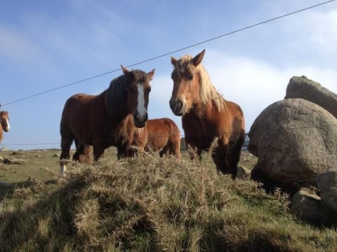 Ebenerdiges Haus am Meer Vacation rental in Finistere