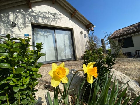 in Chouzy-Sur-Cisse mit Grill, Terrasse und Garten Vacation rental in Centre-Val de Loire