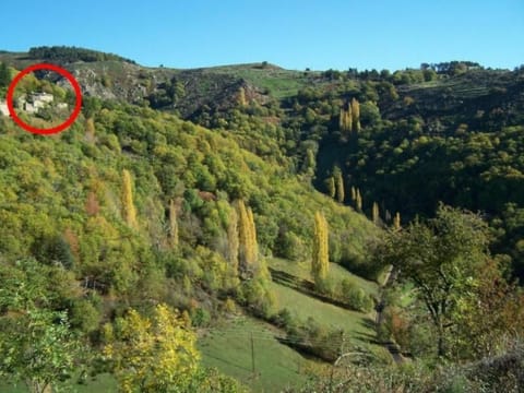 Gîte de Chapelèche Les Châtaigniers für 7 Pers. Vacation rental in Provence-Alpes-Côte d'Azur