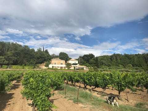 Maison Carrée Apartment in Provence-Alpes-Côte d'Azur