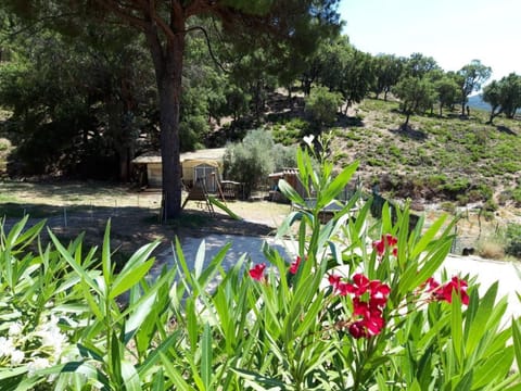 4 Zimmerhaus Vacation rental in Sainte-Maxime