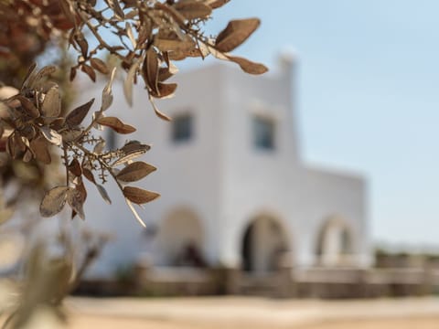 Villas Vaya auf Naxos mit Whirlpool für 7 Pers. Vacation rental in Naxos, Naxos and Lesser Cyclades, Greece