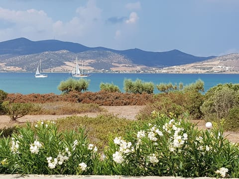 MagnifiSea Strand Villa Vacation rental in Paros, Greece