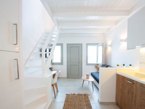 Über White Orchid Suites Apartment in Mesaria