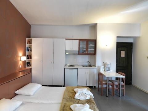 Elia Apartments Afytos - Studio für zwei Personen Apartment in Halkidiki