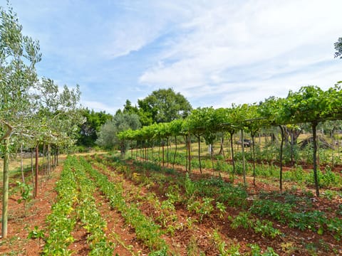 Apartment 684 Apartment in Varoš