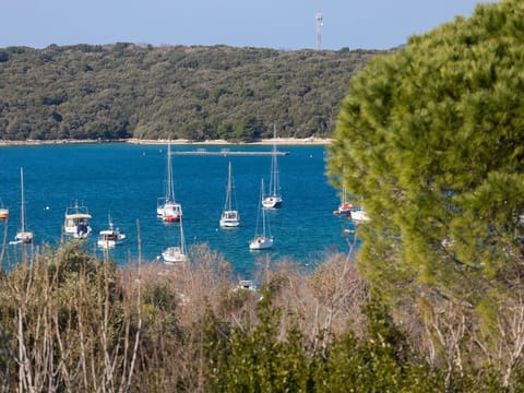 Casa Eli Apartment in Banjole