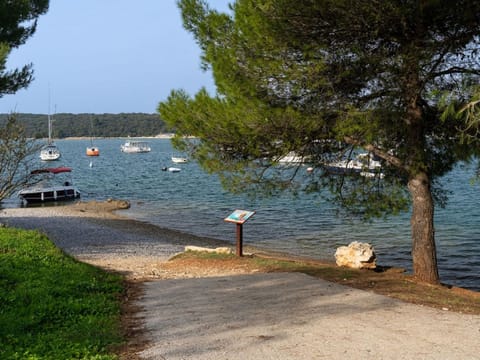 Erla Apartment in Banjole