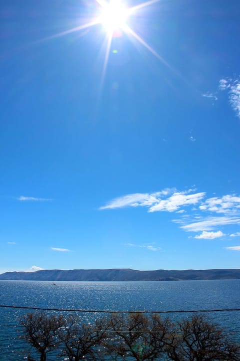 "Bribirska Obala" direkt am Strand Apartment in Novi Vinodolski
