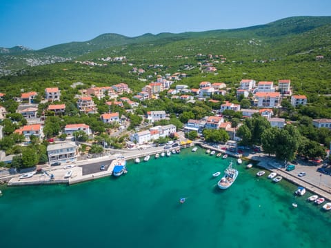 Cosic 2 Black & White / HR-09707-02 Apartment in Lika-Senj County