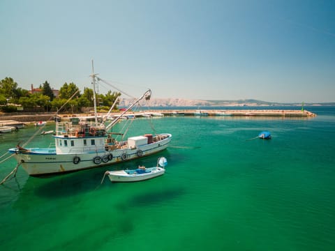 Cosic 2 Black & White / HR-09707-02 Apartment in Lika-Senj County