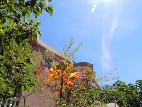 Studio mit Terrasse für zwei Personen Apartment in Lika-Senj County