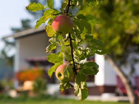 mit Garten, Grill und Terrasse Vacation rental in Plitvice Lakes Park