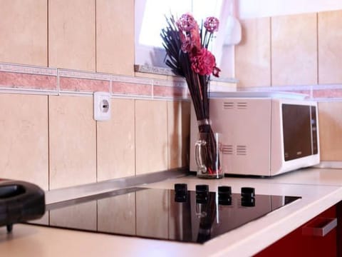 Wohnung in Starigrad mit schönem Meerblick Apartment in Zadar County