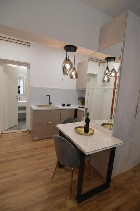 in Starigrad Studio aparment Apartment in Zadar County